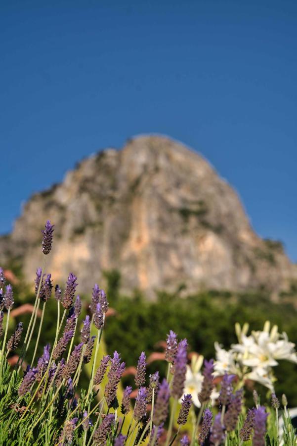 El Valle Dorado Ел Гастор Екстериор снимка